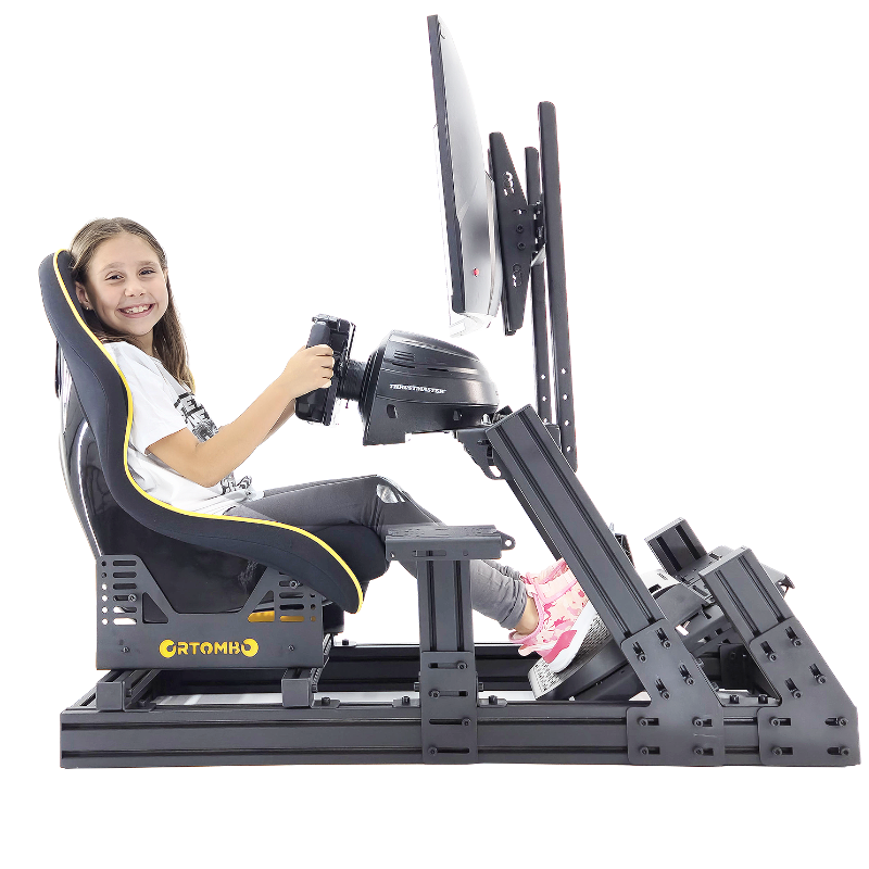 Sim Racing Cockpits, Yarış simulatorleri, oyun salonları için simulatörler